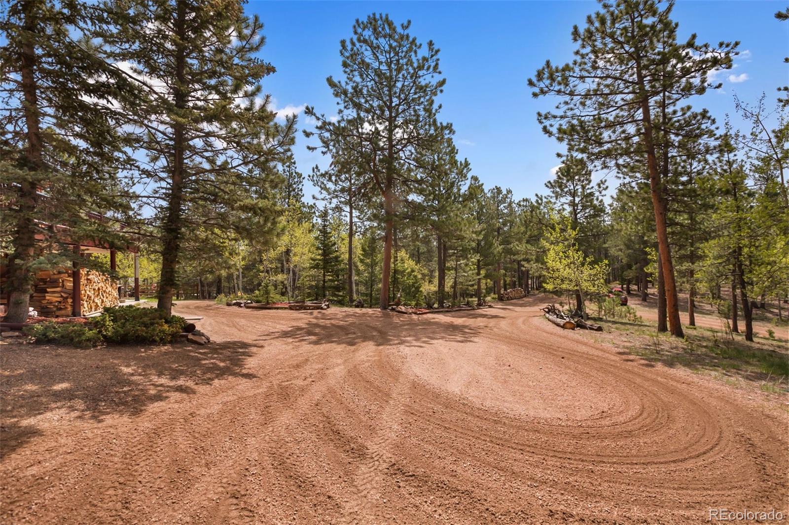 MLS Image #37 for 381  saddleback creek drive,florissant, Colorado