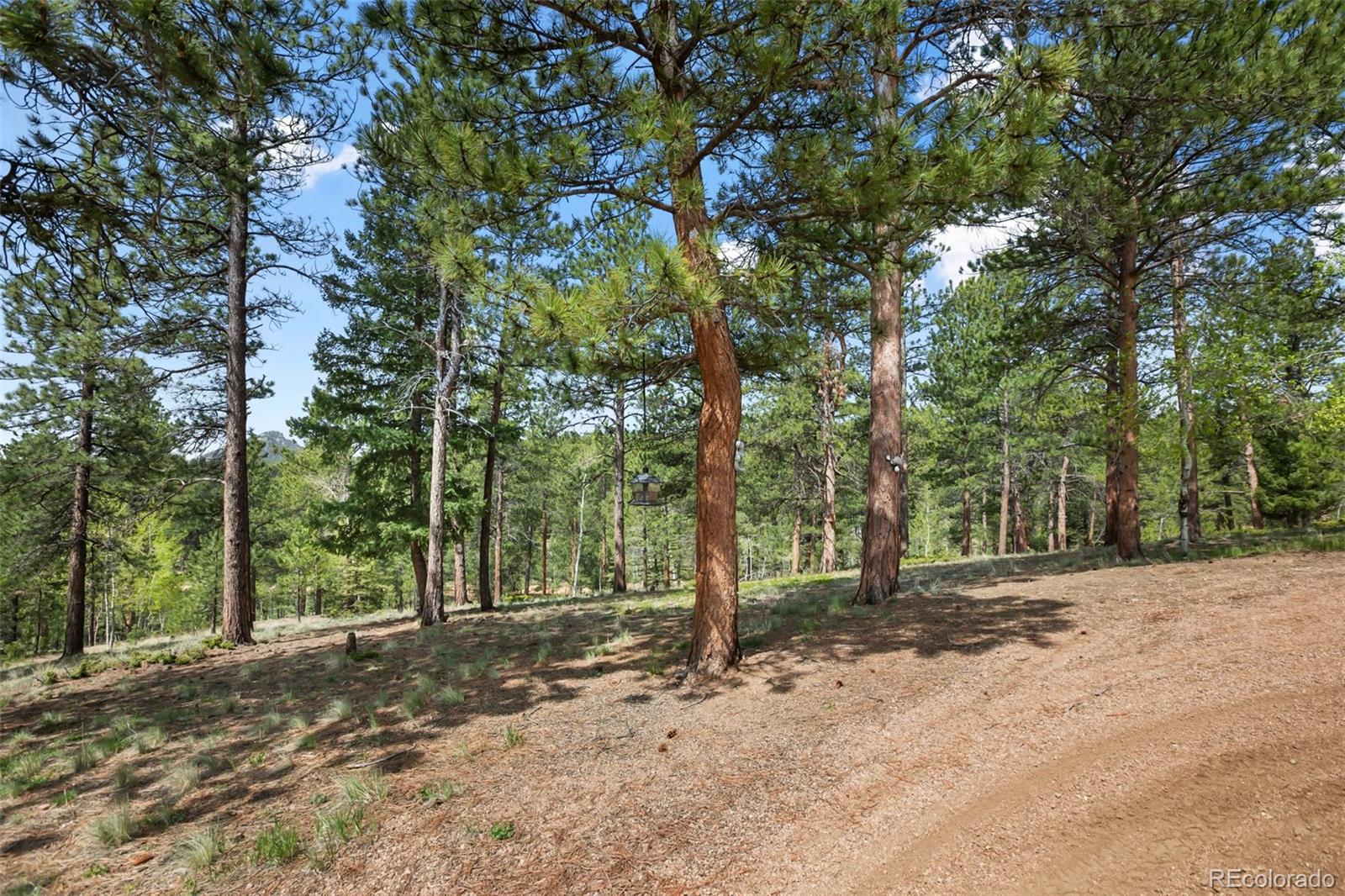 MLS Image #38 for 381  saddleback creek drive,florissant, Colorado
