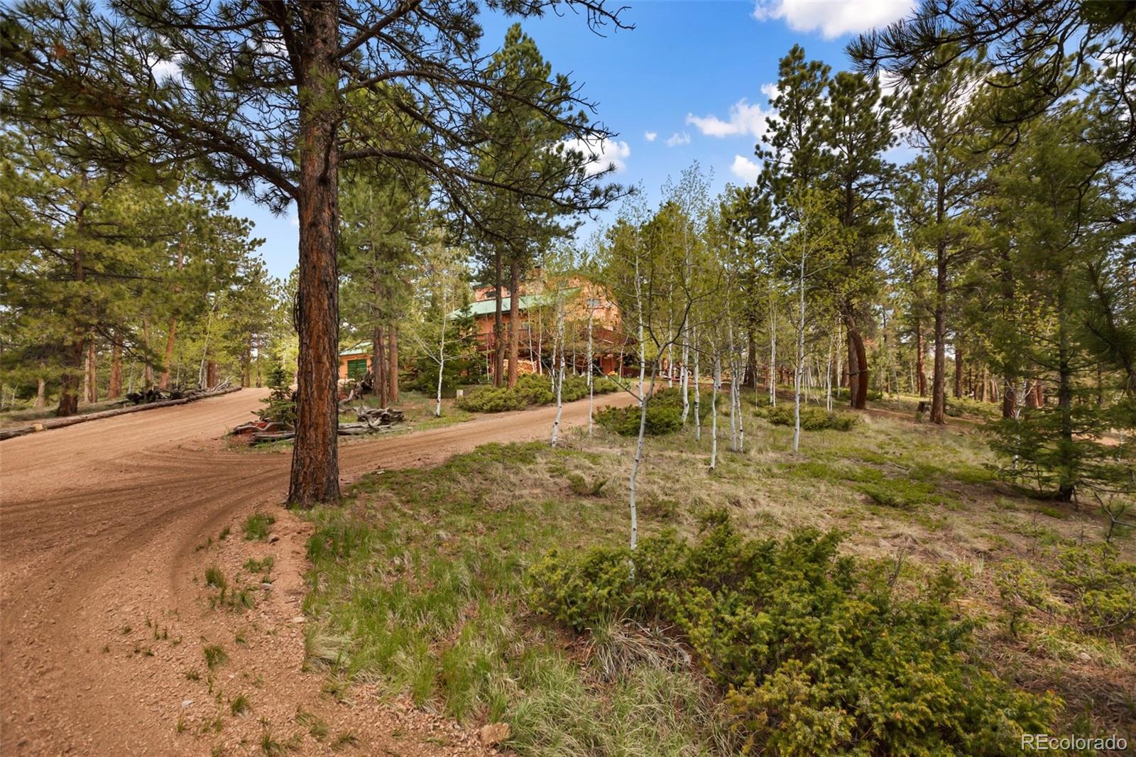 MLS Image #7 for 381  saddleback creek drive,florissant, Colorado