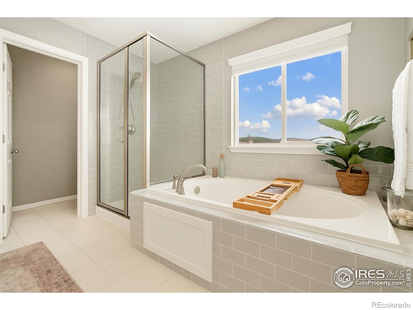 MLS Image #18 for 2275  stonefish drive,windsor, Colorado