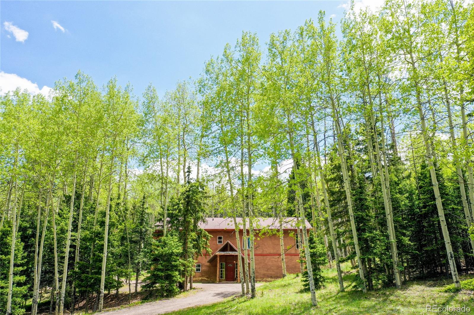 MLS Image #2 for 10955  grenadier rd ,woodland park, Colorado
