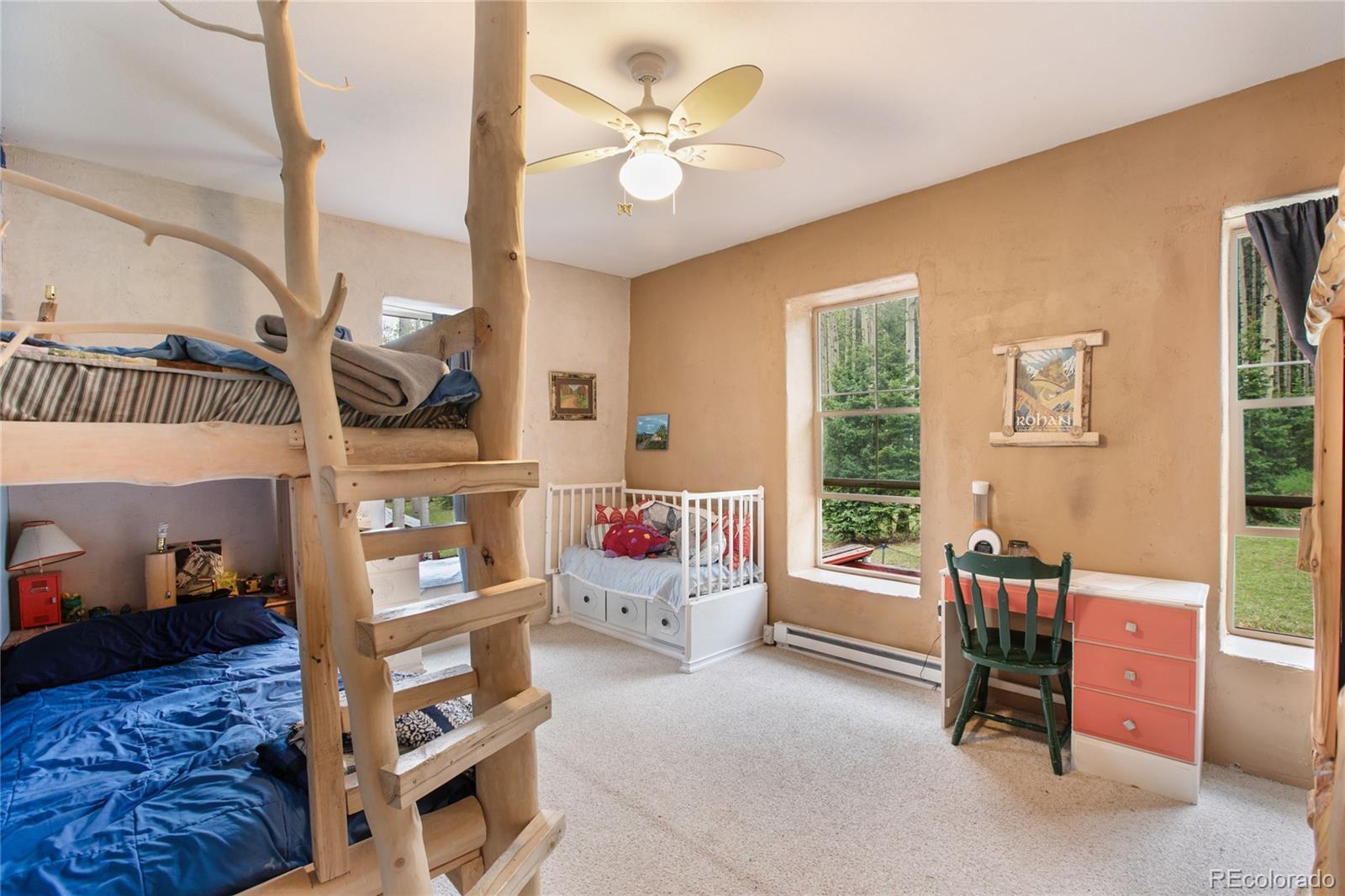 MLS Image #26 for 10955  grenadier rd ,woodland park, Colorado