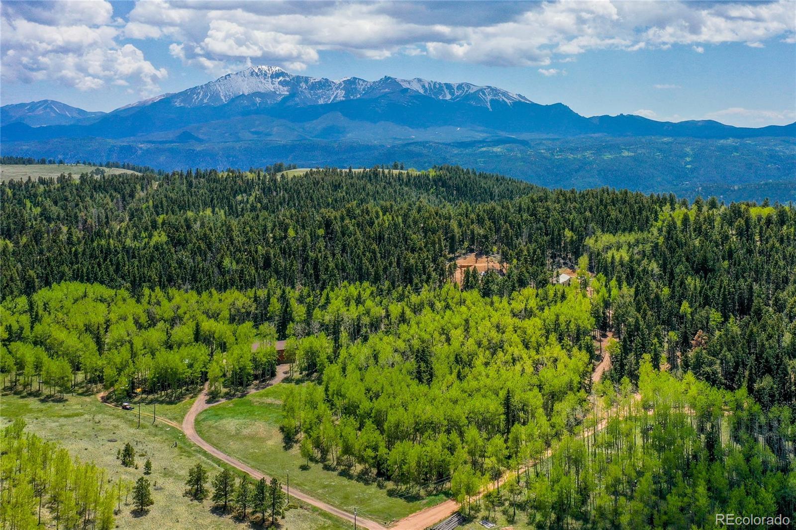 MLS Image #3 for 10955  grenadier rd ,woodland park, Colorado
