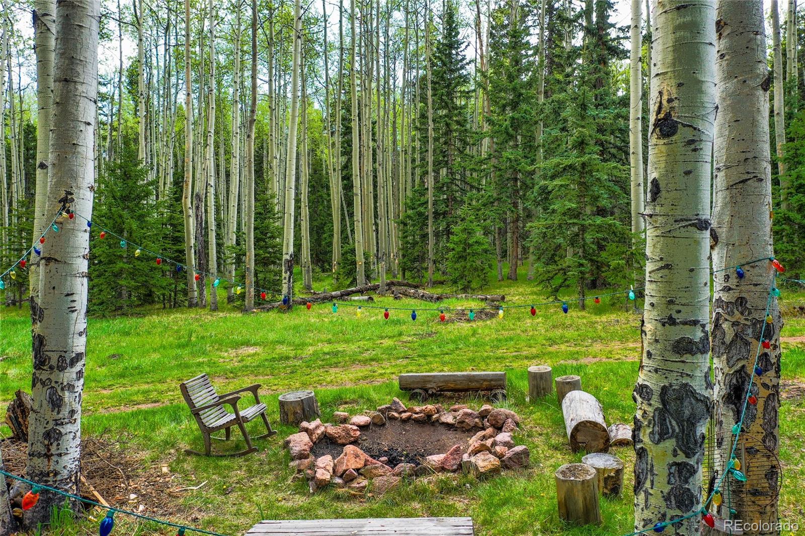 MLS Image #36 for 10955  grenadier rd ,woodland park, Colorado