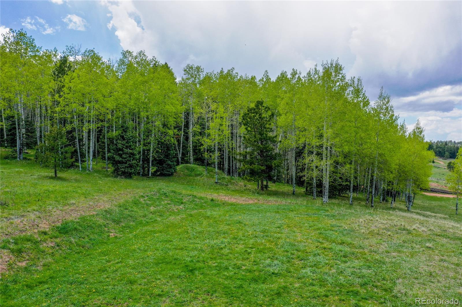 MLS Image #37 for 10955  grenadier rd ,woodland park, Colorado