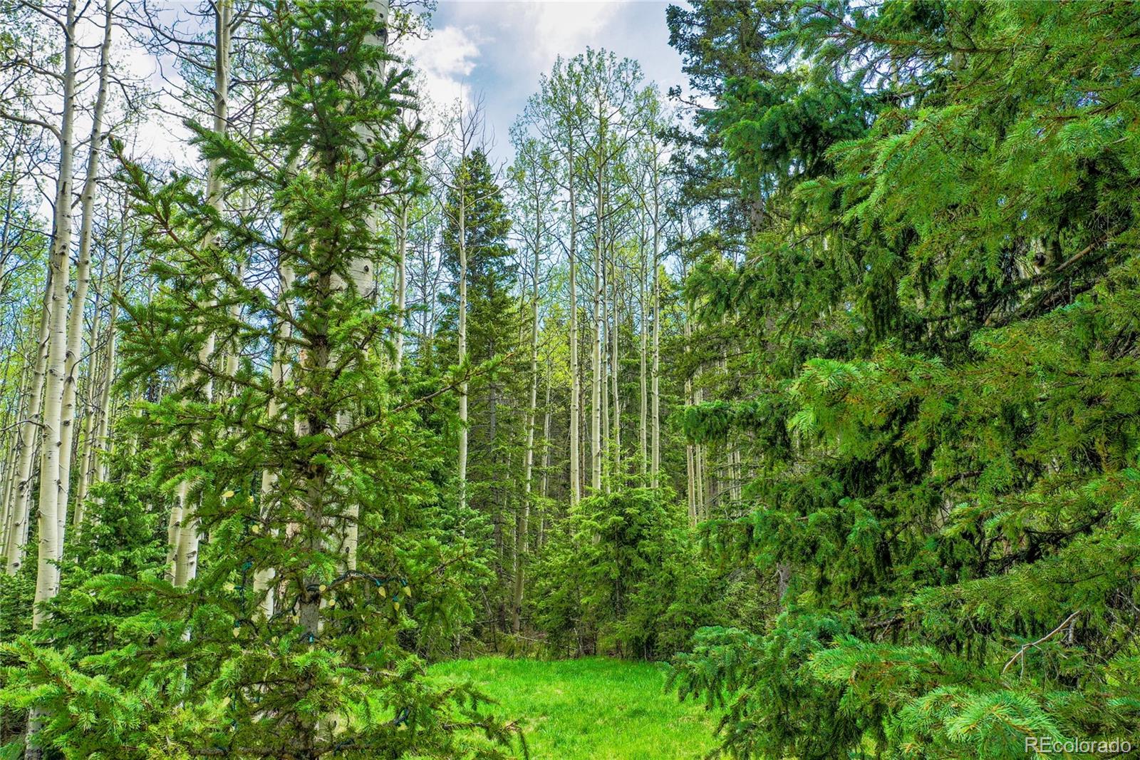 MLS Image #39 for 10955  grenadier rd ,woodland park, Colorado
