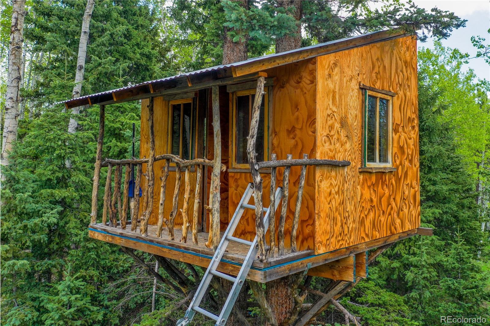 MLS Image #4 for 10955  grenadier rd ,woodland park, Colorado