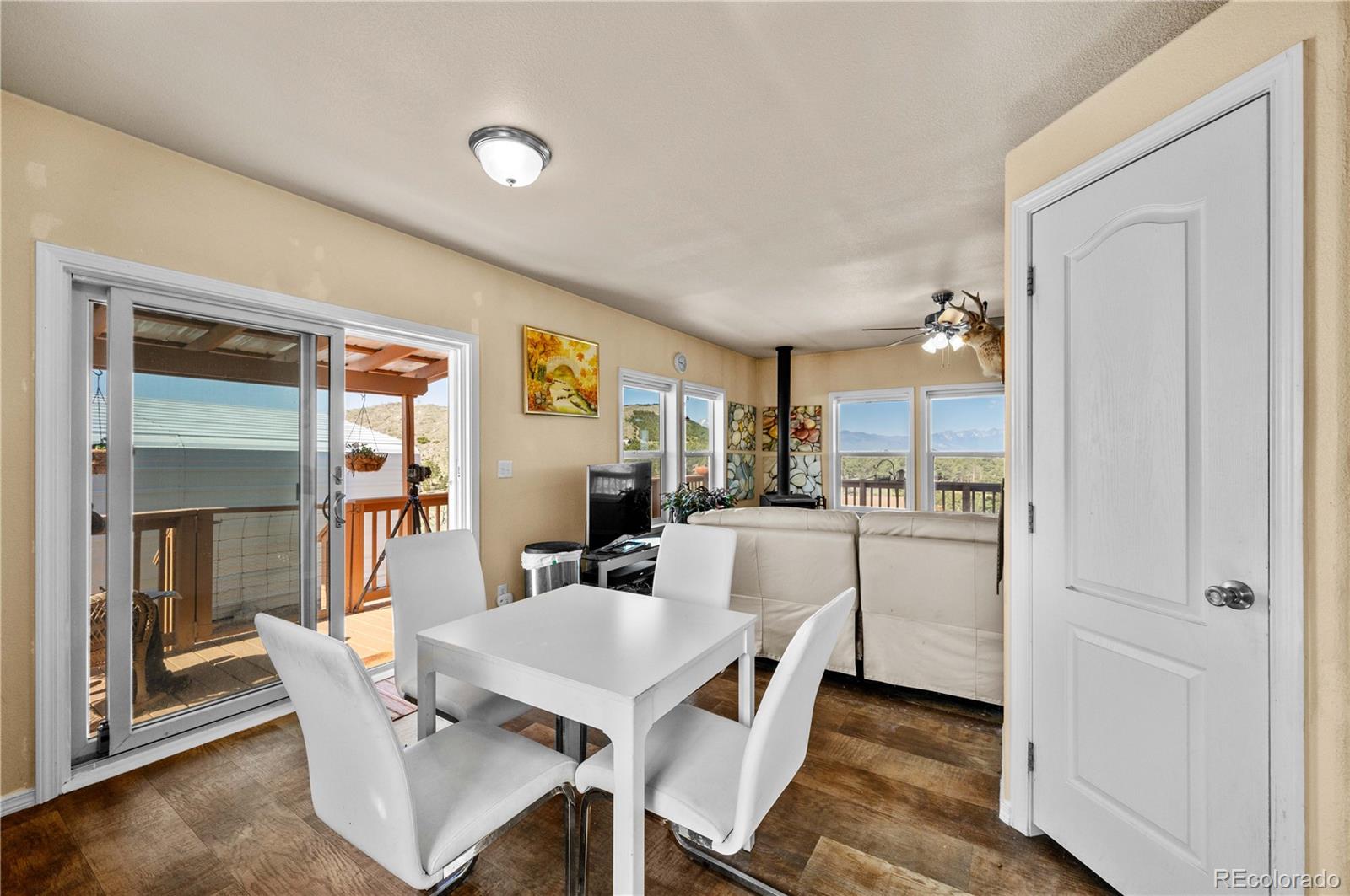 MLS Image #11 for 247  shannon trail,cotopaxi, Colorado