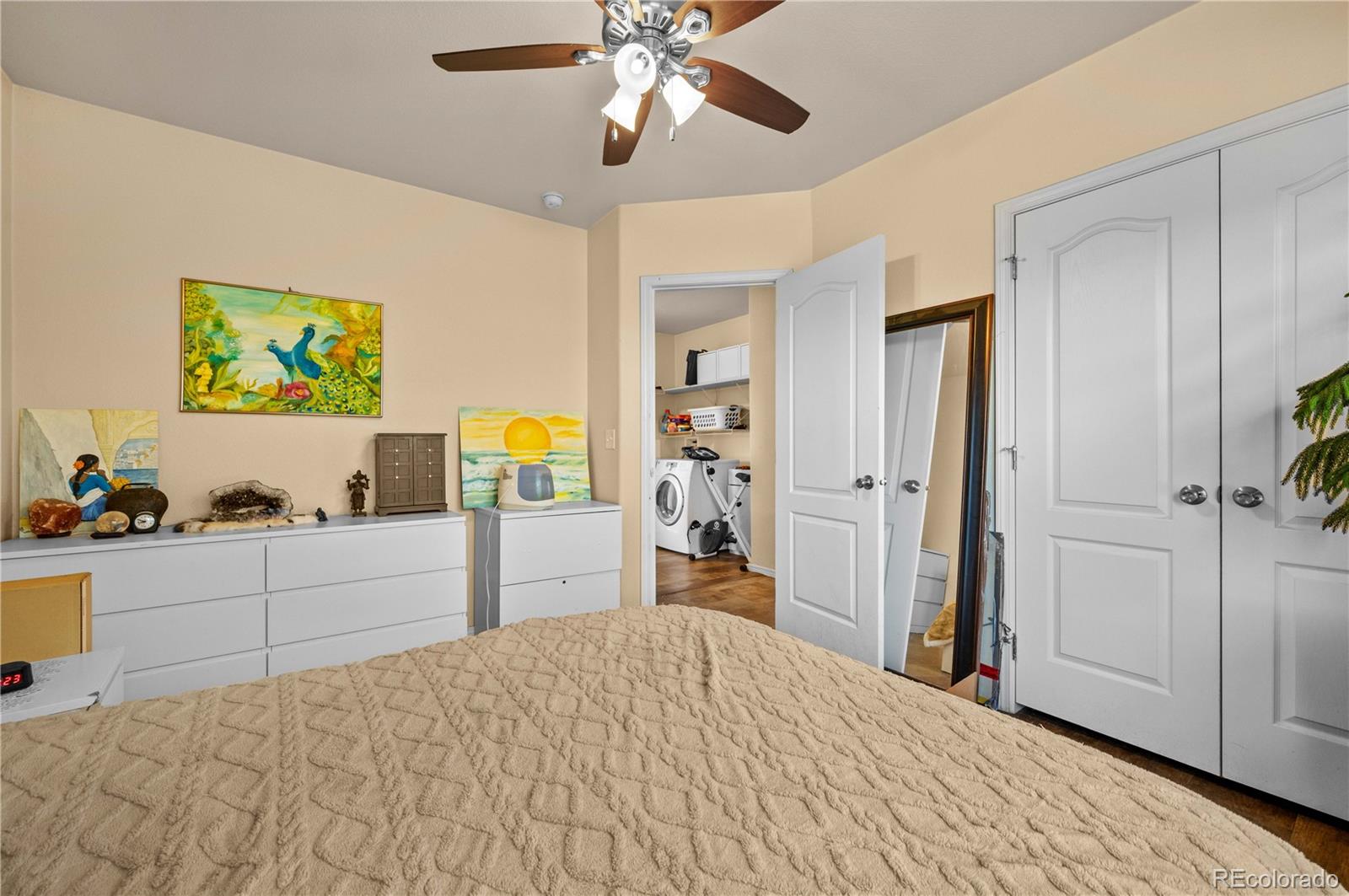 MLS Image #13 for 247  shannon trail,cotopaxi, Colorado