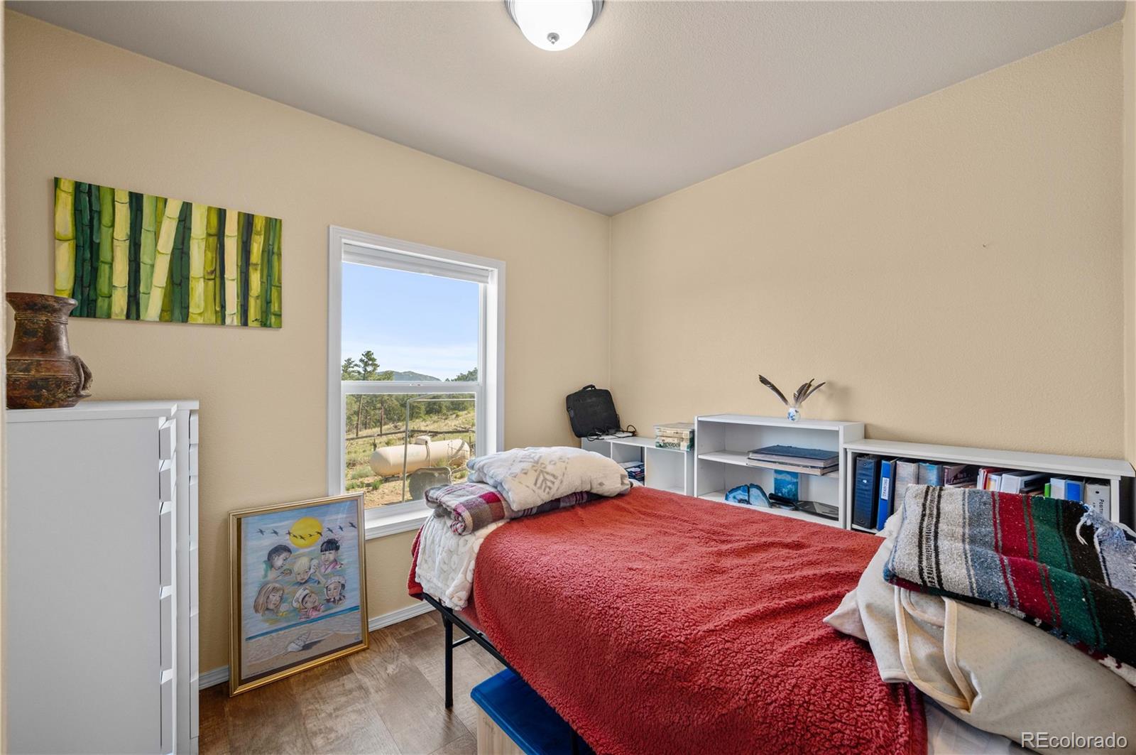 MLS Image #14 for 247  shannon trail,cotopaxi, Colorado