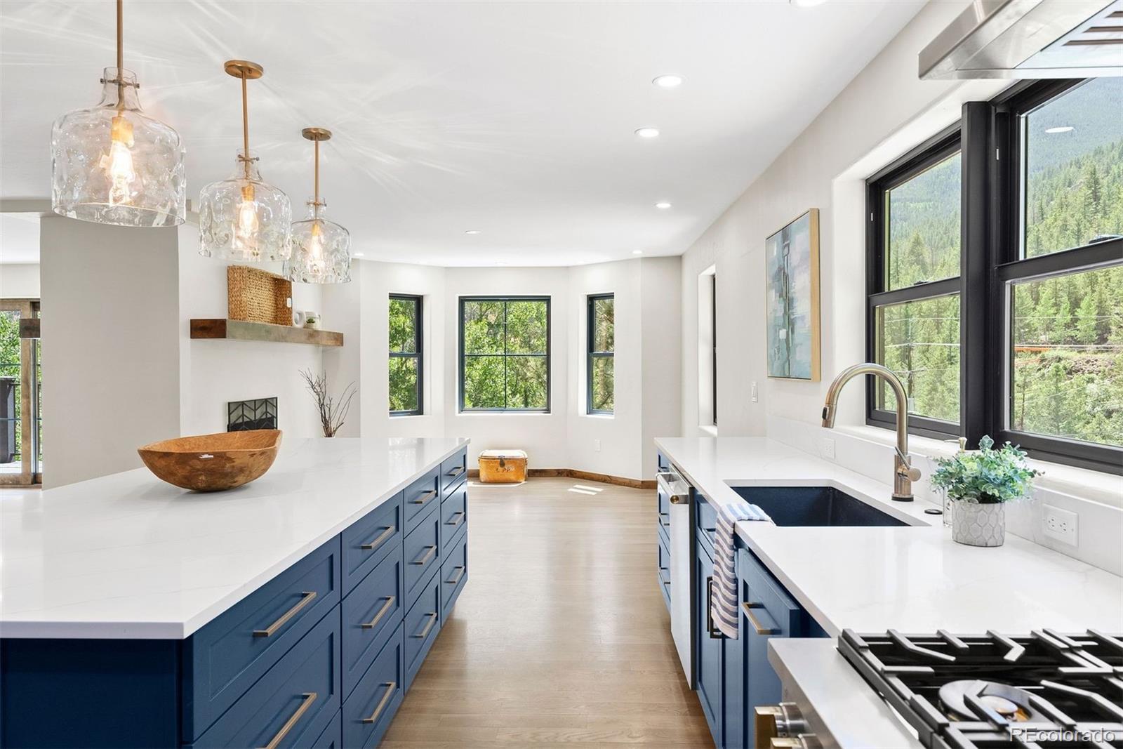 MLS Image #30 for 205  loop drive,georgetown, Colorado