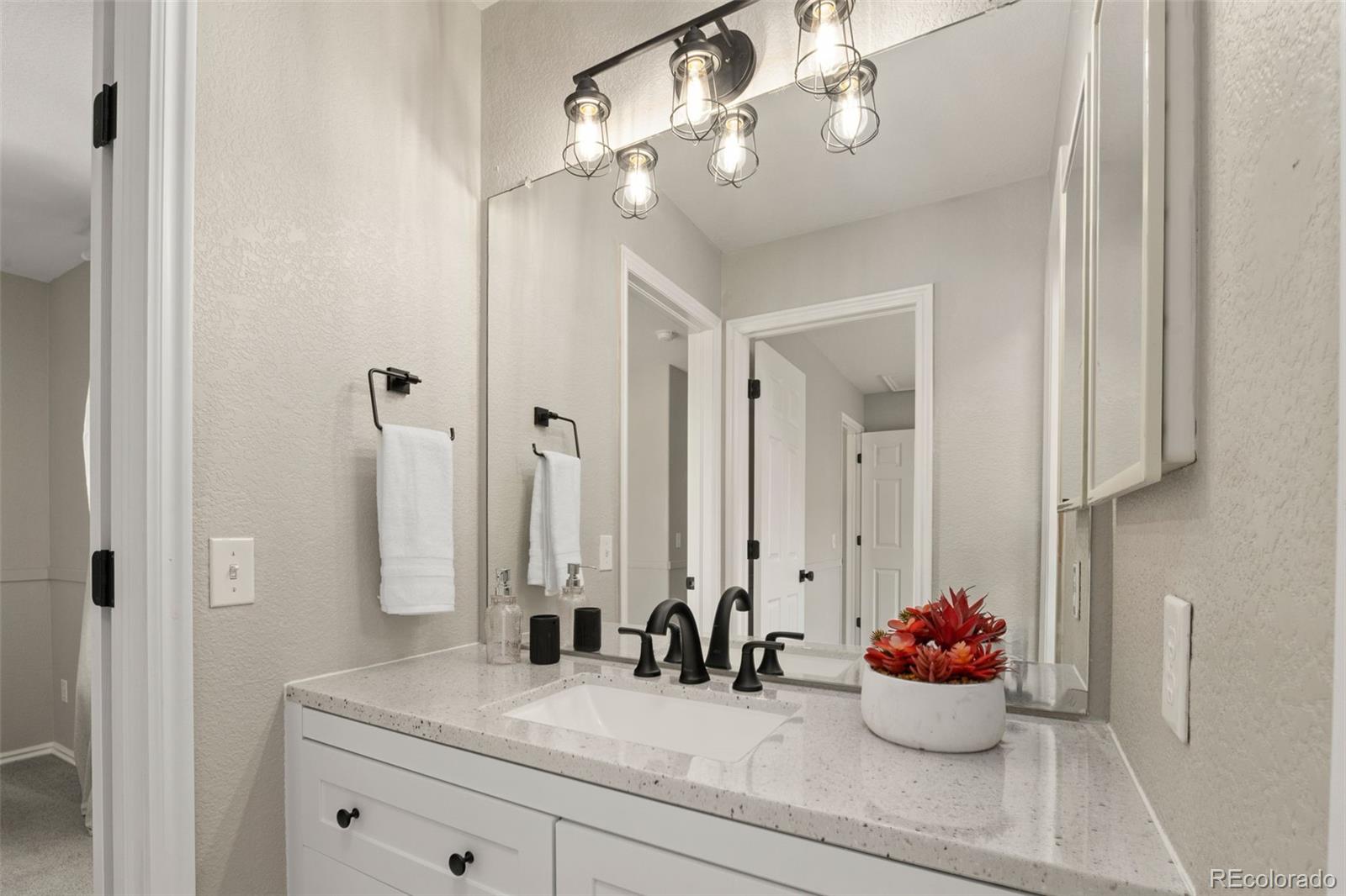 MLS Image #23 for 9698  queenscliffe drive,highlands ranch, Colorado