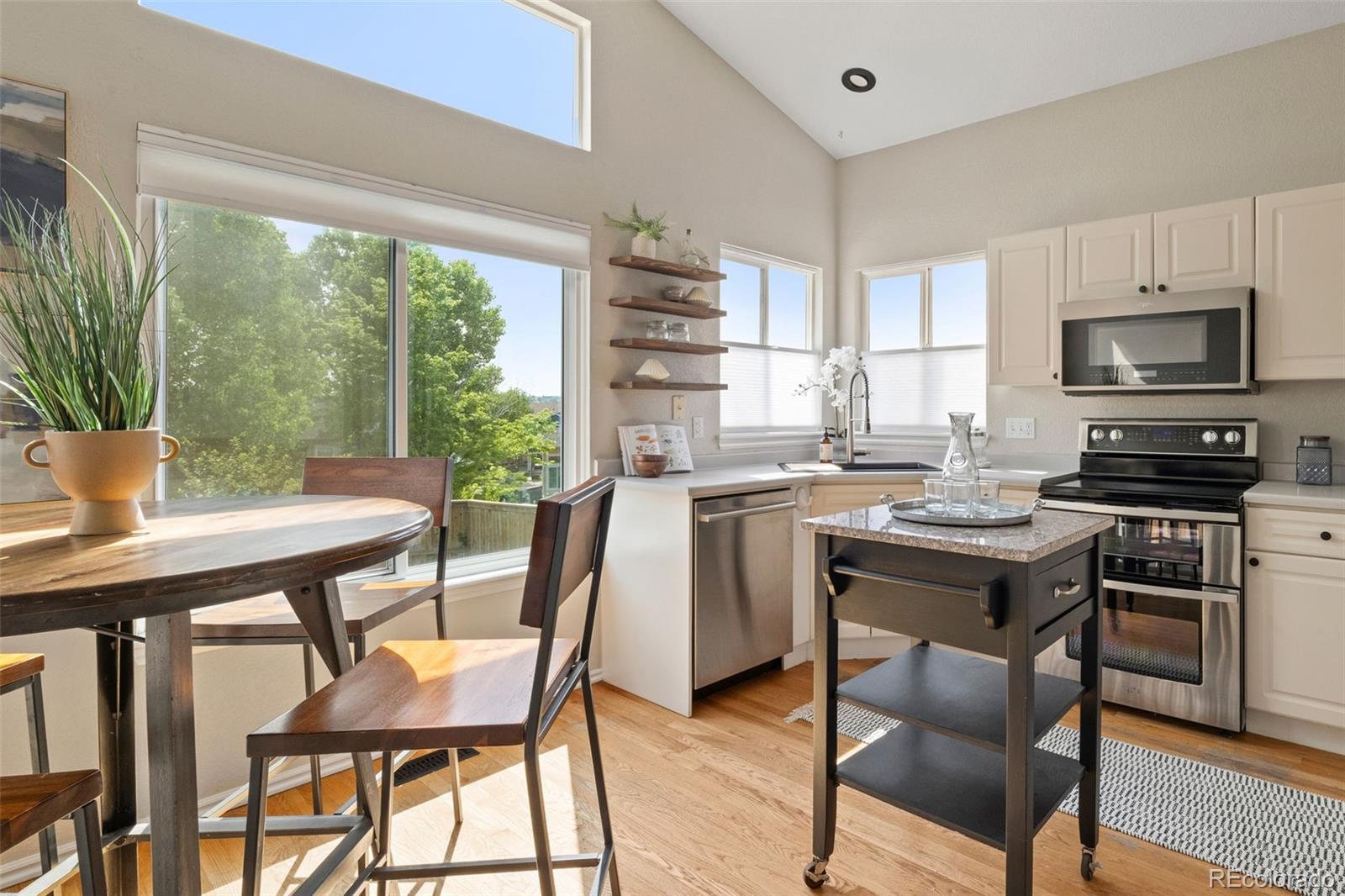 MLS Image #6 for 9698  queenscliffe drive,highlands ranch, Colorado