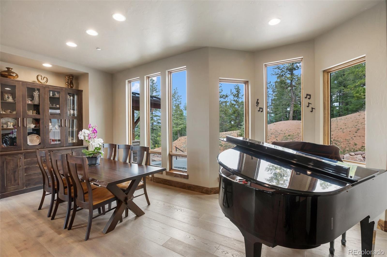 MLS Image #18 for 290  thunder ridge drive,woodland park, Colorado