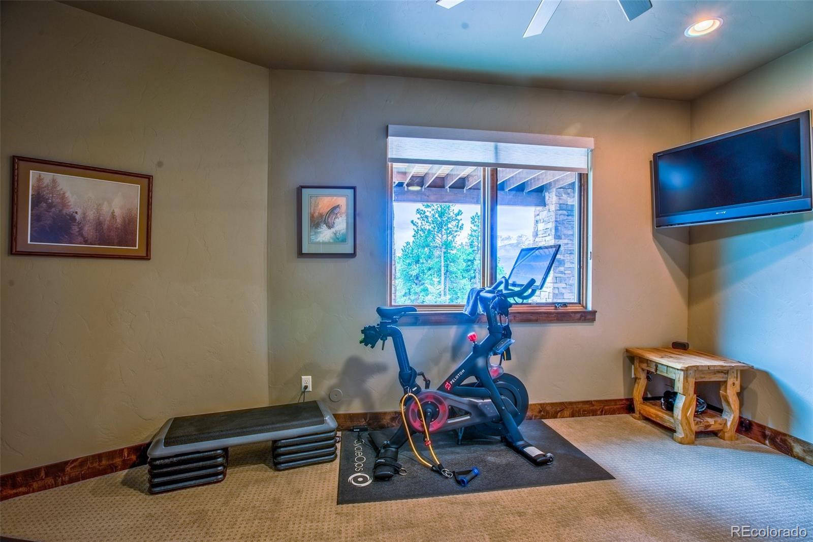 MLS Image #43 for 290  thunder ridge drive,woodland park, Colorado