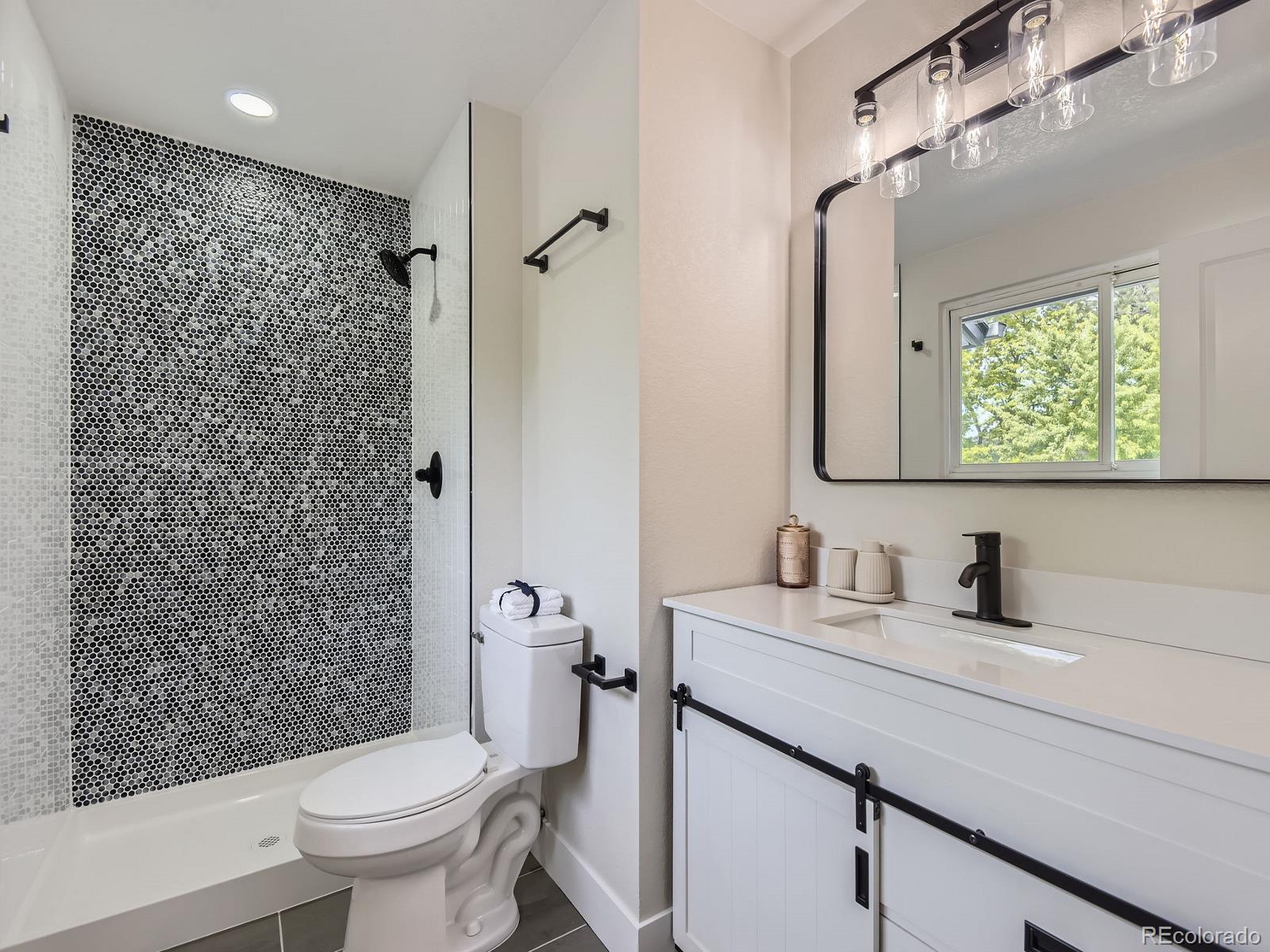 MLS Image #16 for 3793 s sebring court,denver, Colorado