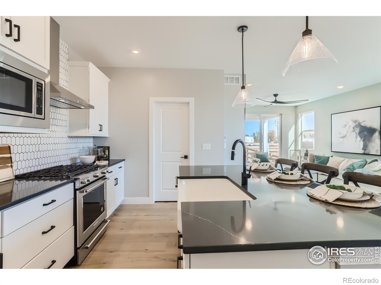 MLS Image #12 for 2731  crystal springs lane,longmont, Colorado