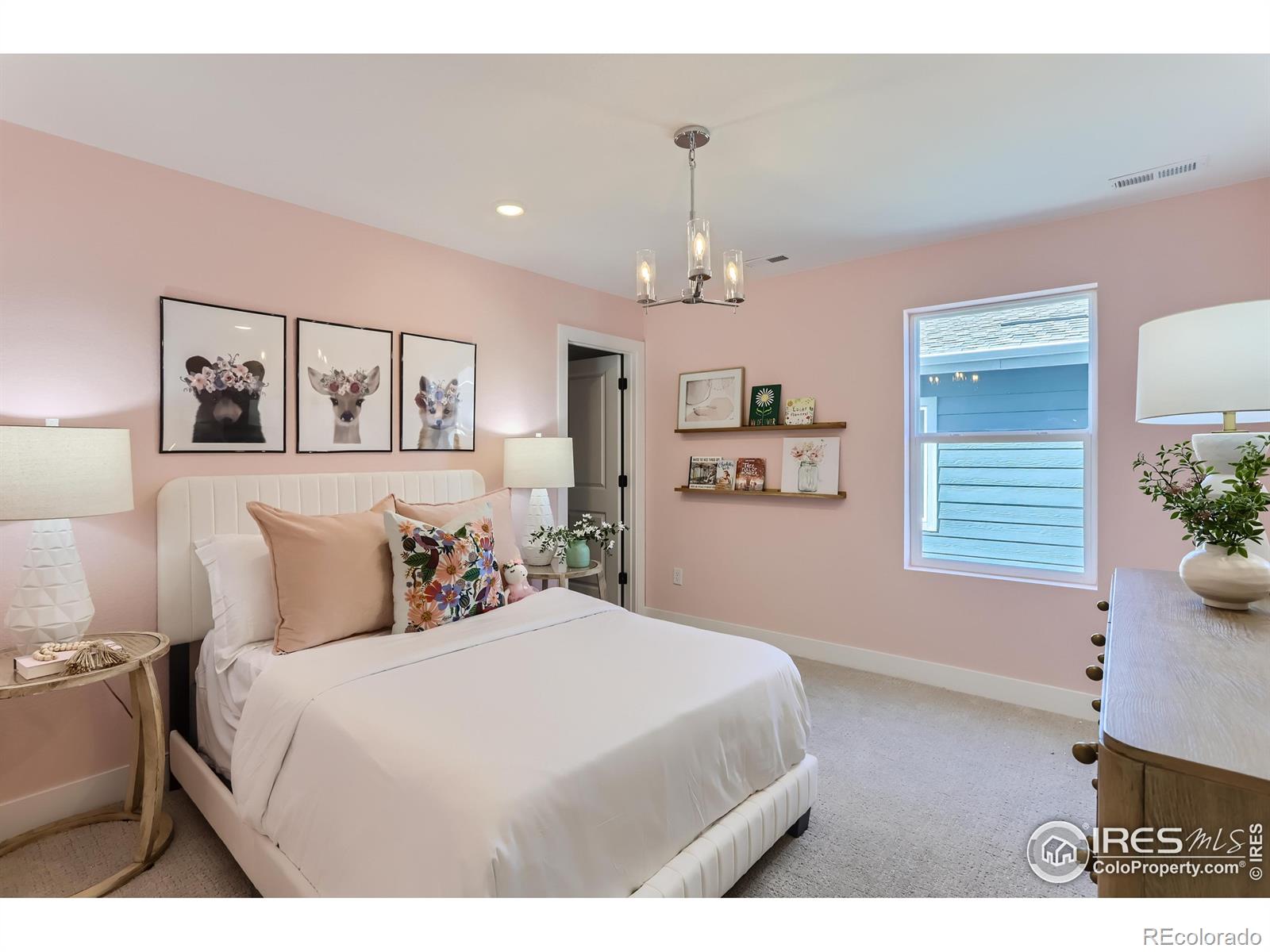 MLS Image #19 for 2731  crystal springs lane,longmont, Colorado