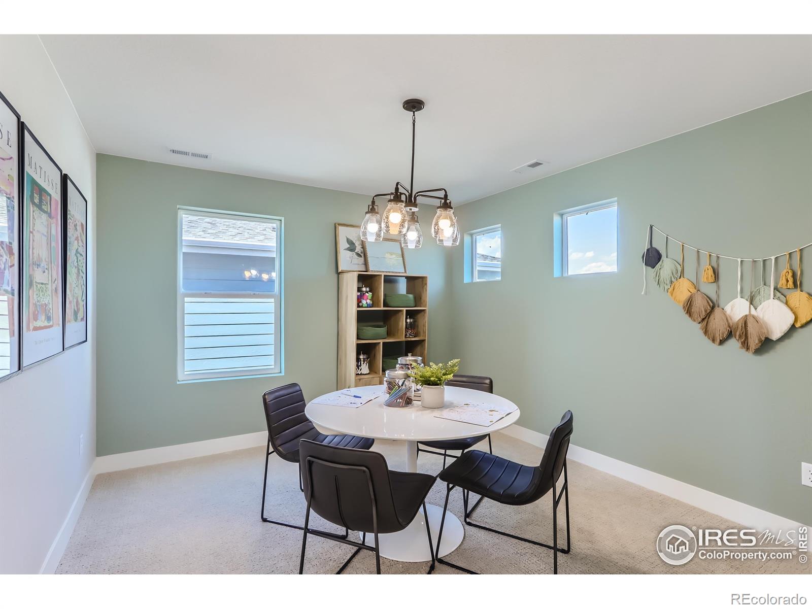 MLS Image #21 for 2731  crystal springs lane,longmont, Colorado