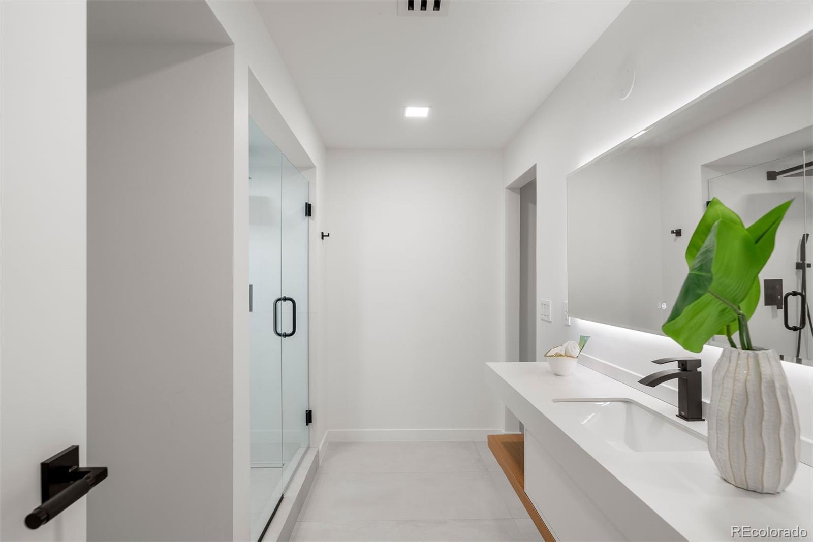 MLS Image #37 for 1518 s columbine street,denver, Colorado