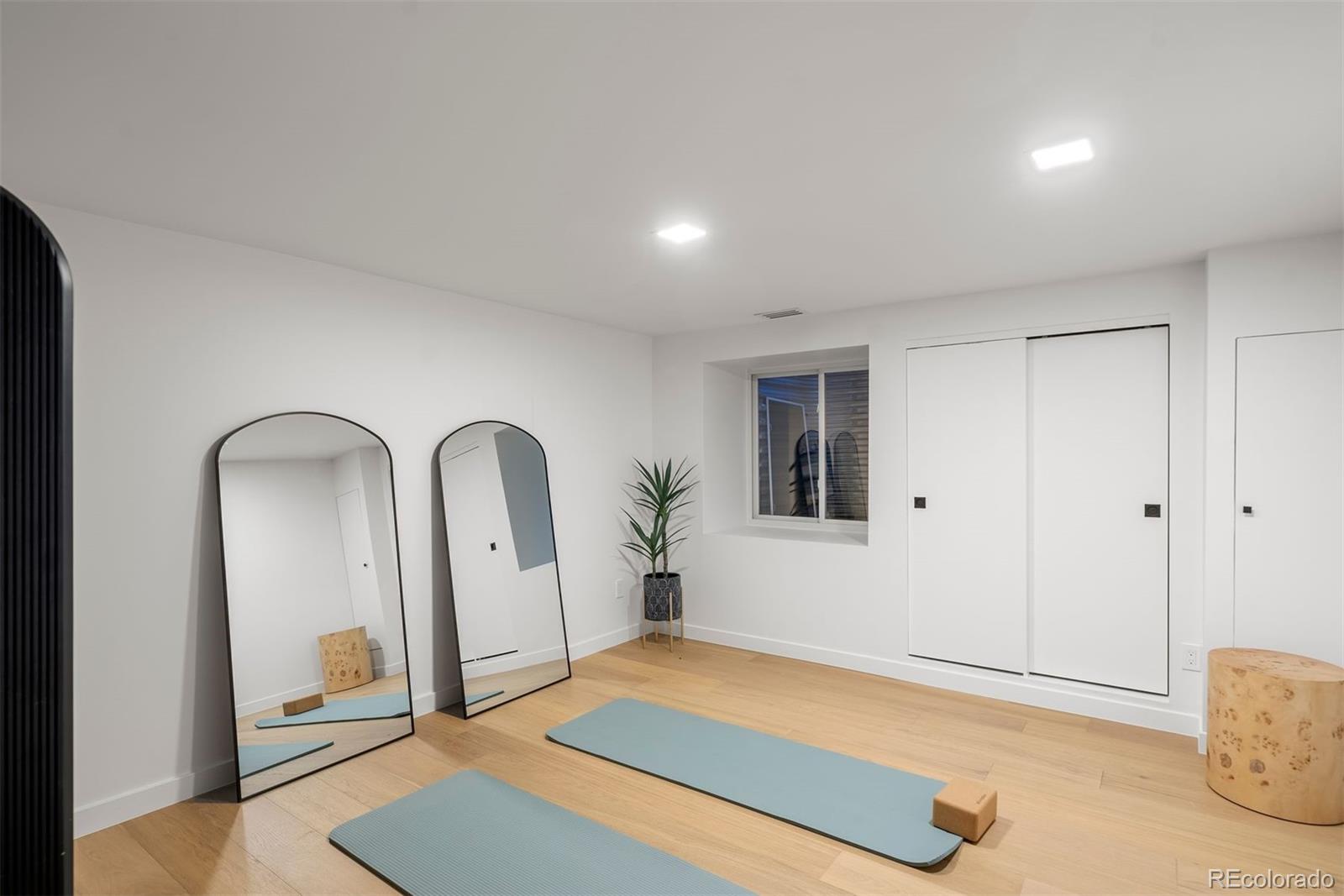 MLS Image #44 for 1518 s columbine street,denver, Colorado