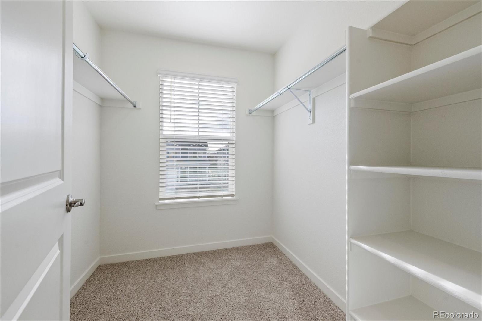 MLS Image #19 for 1638  plata street,lochbuie, Colorado
