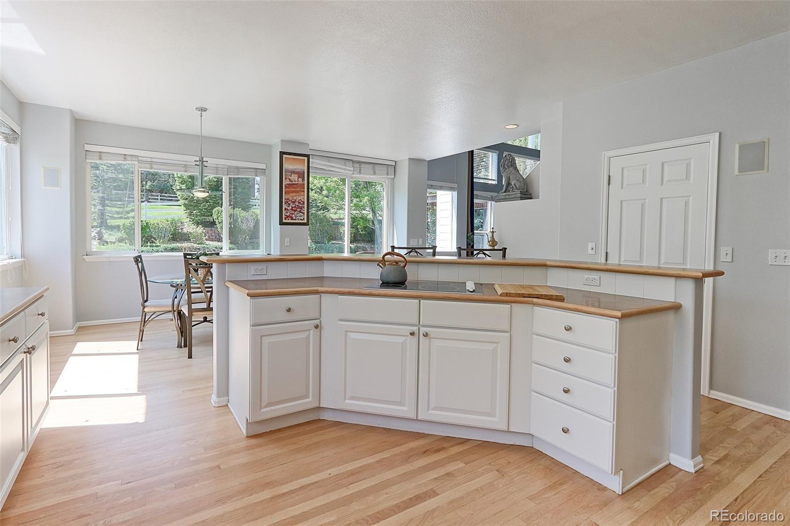 MLS Image #10 for 7858  oban court,lone tree, Colorado
