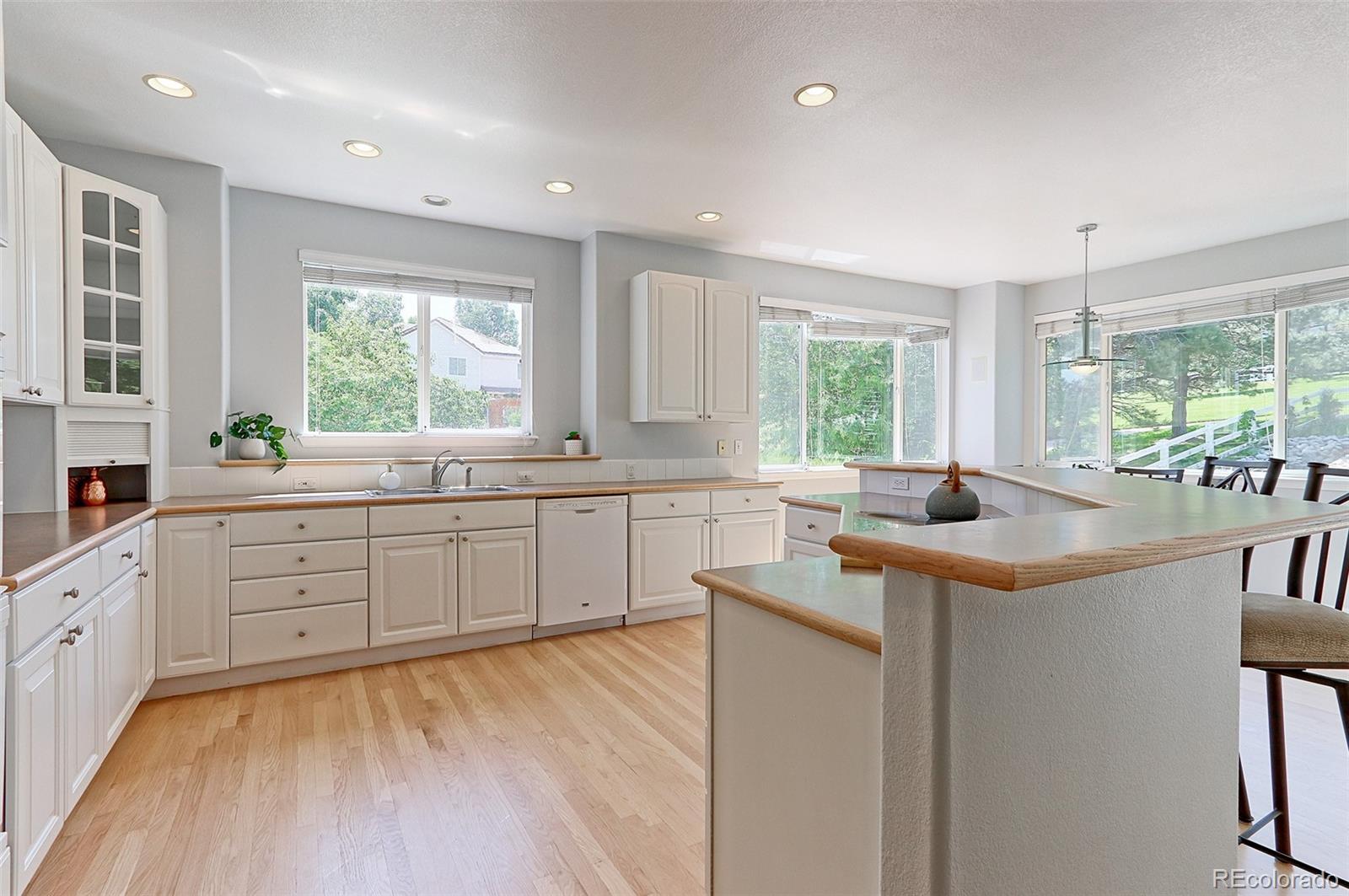 MLS Image #11 for 7858  oban court,lone tree, Colorado
