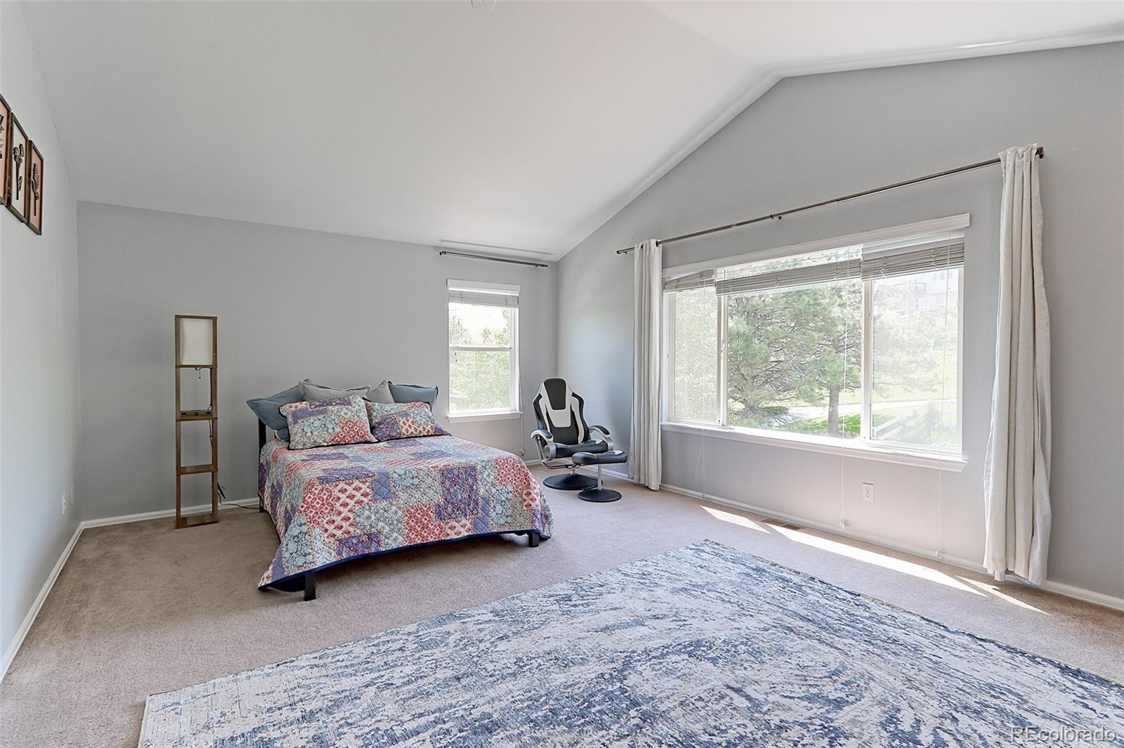MLS Image #19 for 7858  oban court,lone tree, Colorado