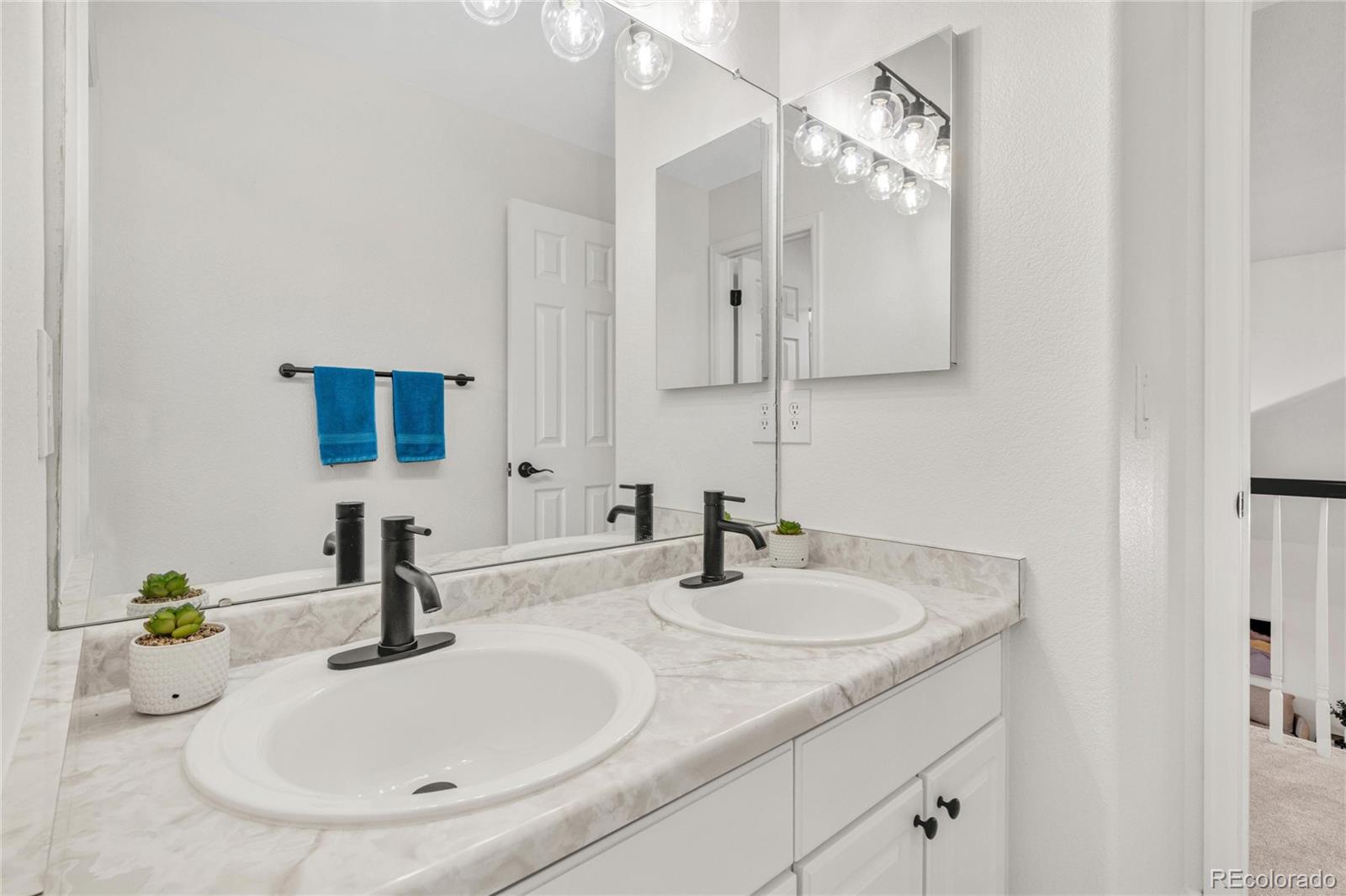 MLS Image #39 for 7420 s houstoun waring circle,littleton, Colorado