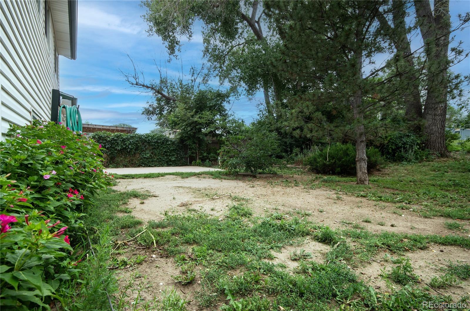 MLS Image #23 for 1884  pepperwood drive,colorado springs, Colorado
