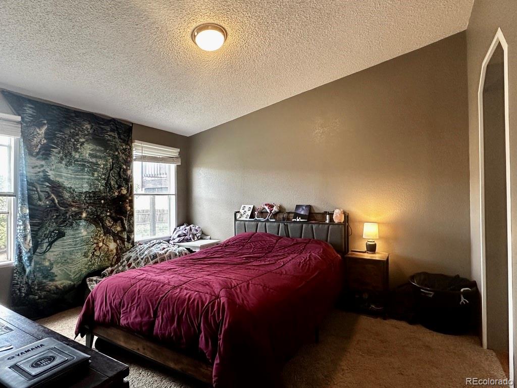 MLS Image #11 for 119  front road,leadville, Colorado