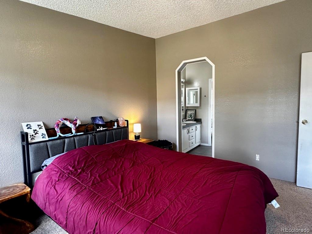 MLS Image #12 for 119  front road,leadville, Colorado
