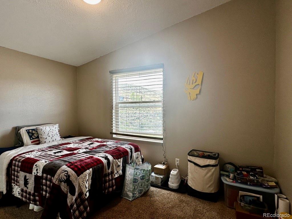 MLS Image #17 for 119  front road,leadville, Colorado