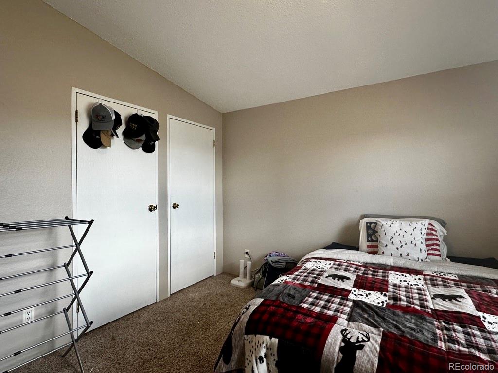 MLS Image #18 for 119  front road,leadville, Colorado