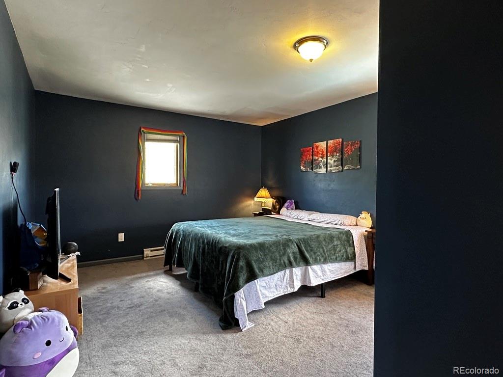 MLS Image #36 for 119  front road,leadville, Colorado