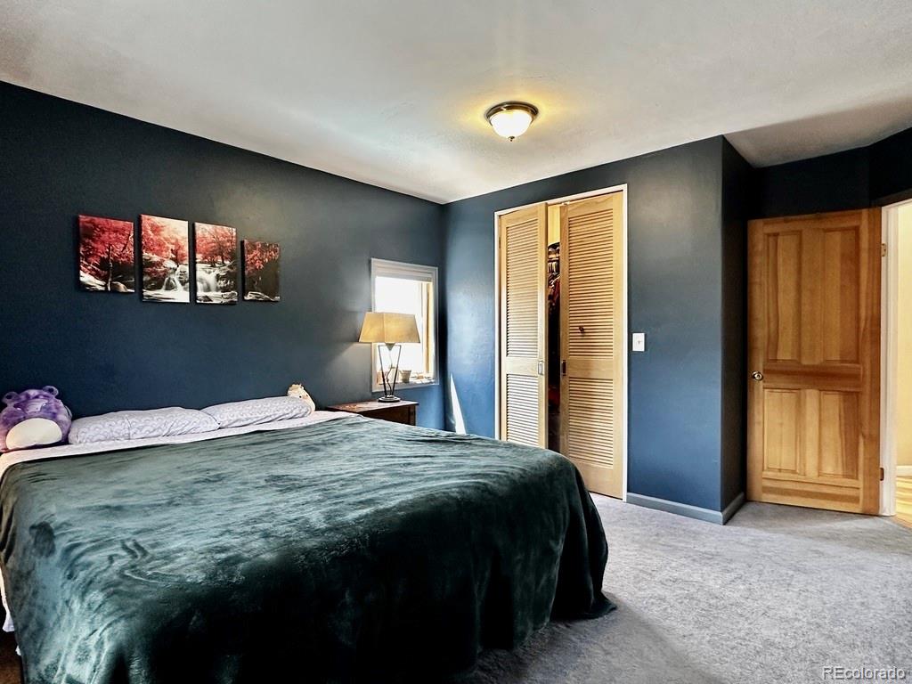 MLS Image #37 for 119  front road,leadville, Colorado