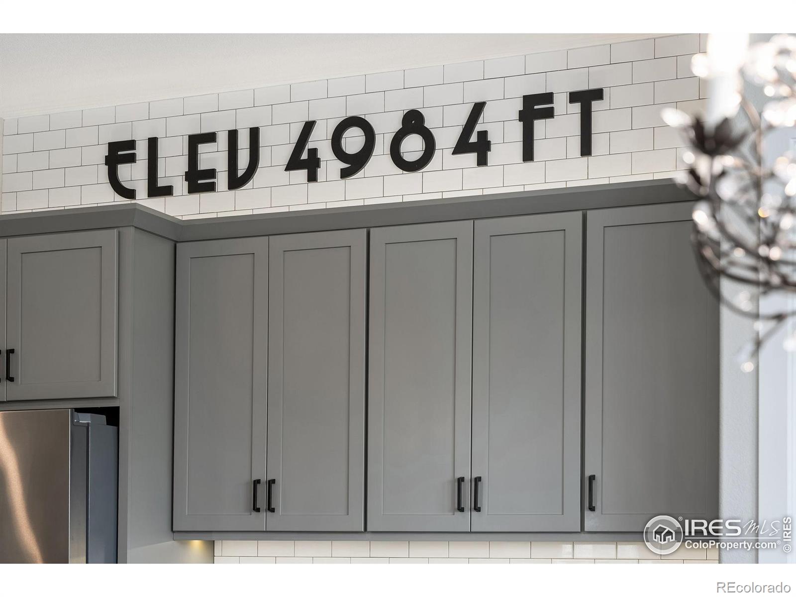 MLS Image #11 for 2608  hawks perch court,fort collins, Colorado