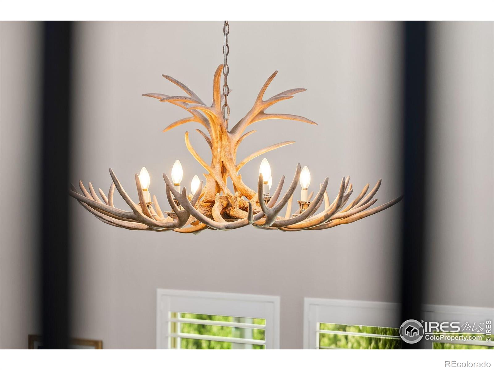 MLS Image #18 for 2608  hawks perch court,fort collins, Colorado