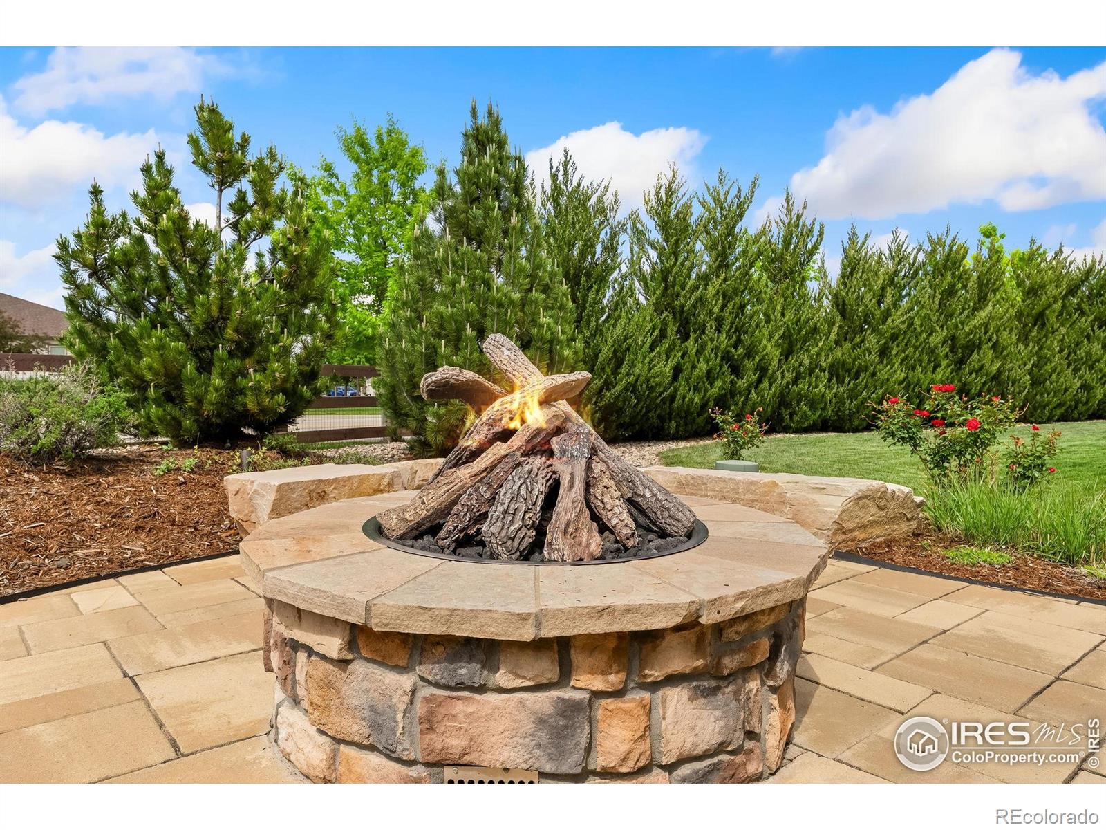 MLS Image #35 for 2608  hawks perch court,fort collins, Colorado