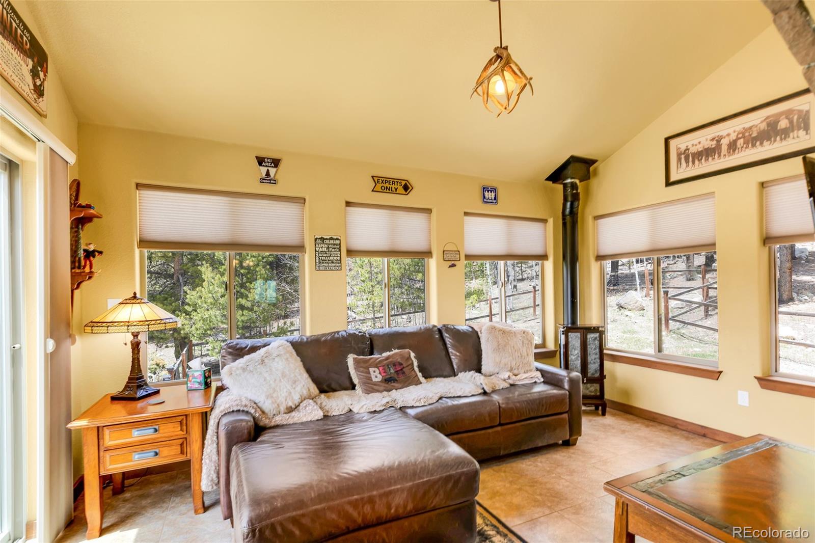 MLS Image #18 for 2891  nugget road,fairplay, Colorado