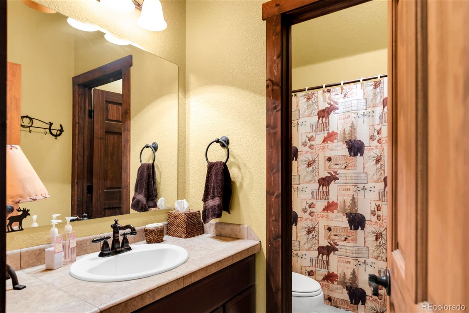 MLS Image #39 for 2891  nugget road,fairplay, Colorado