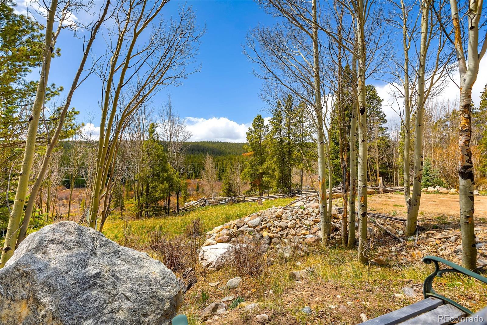 MLS Image #5 for 2891  nugget road,fairplay, Colorado