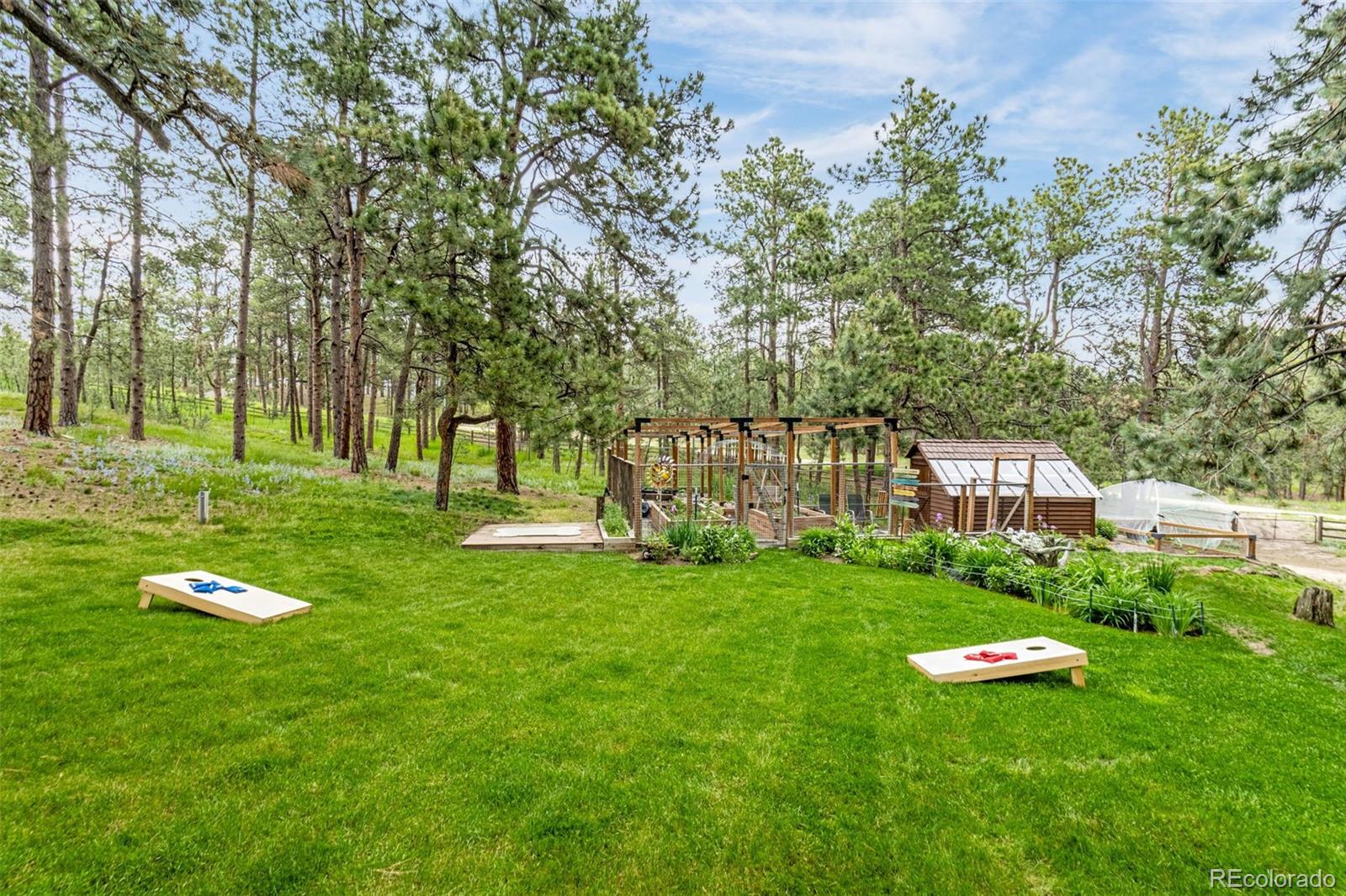 MLS Image #5 for 14960  spiritwood loop,elbert, Colorado