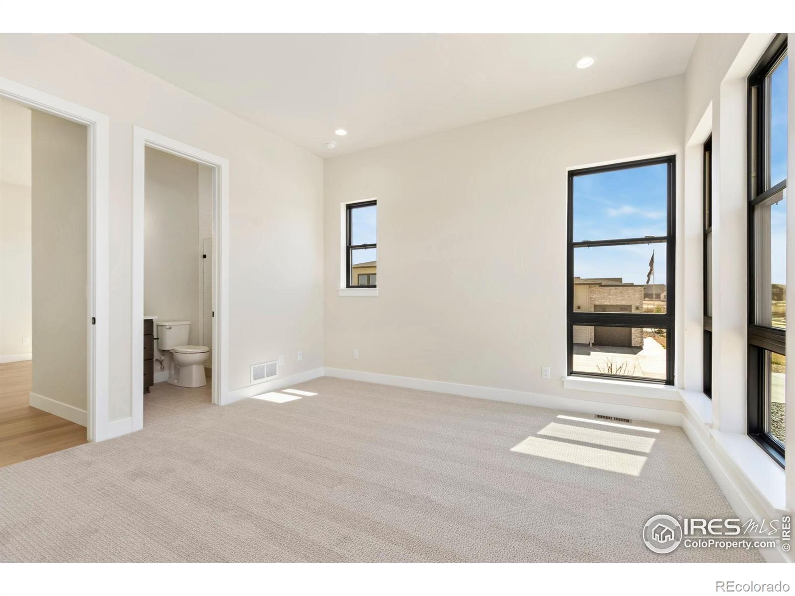 MLS Image #9 for 1889  spring bloom drive,windsor, Colorado