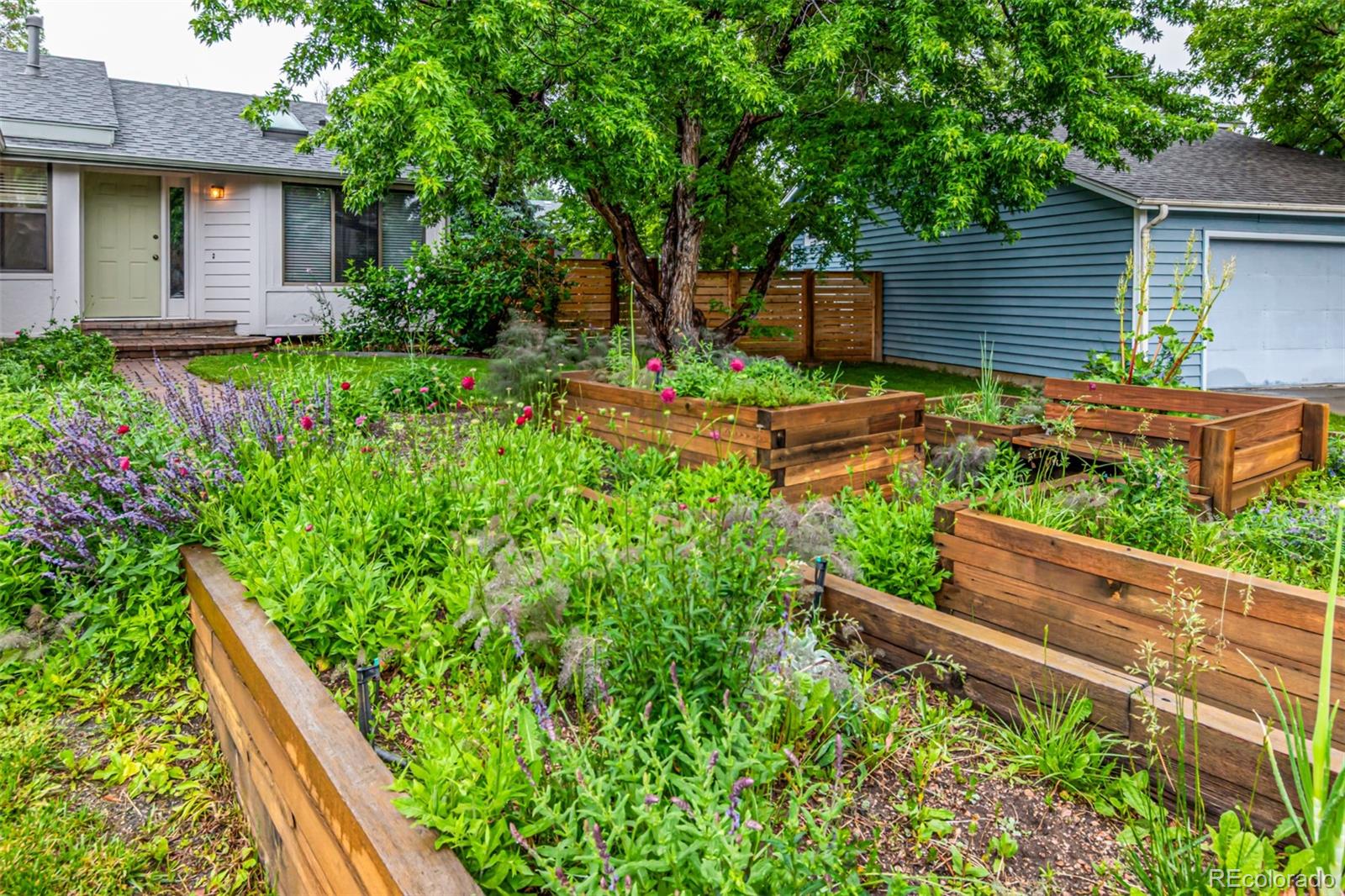 MLS Image #4 for 182  lois circle,louisville, Colorado