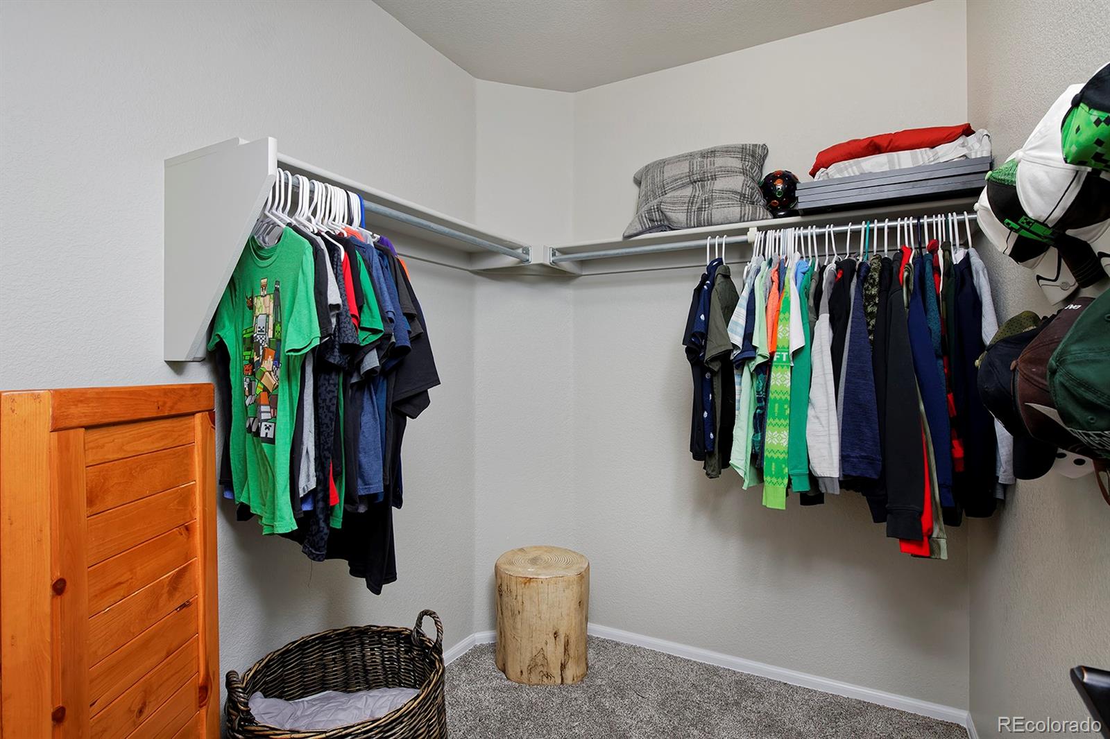 MLS Image #26 for 14075  willow wood court,broomfield, Colorado