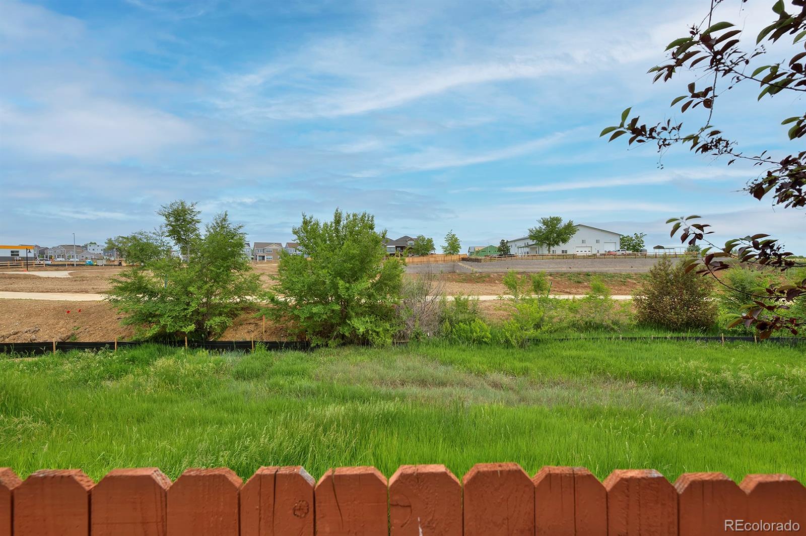 MLS Image #38 for 14075  willow wood court,broomfield, Colorado