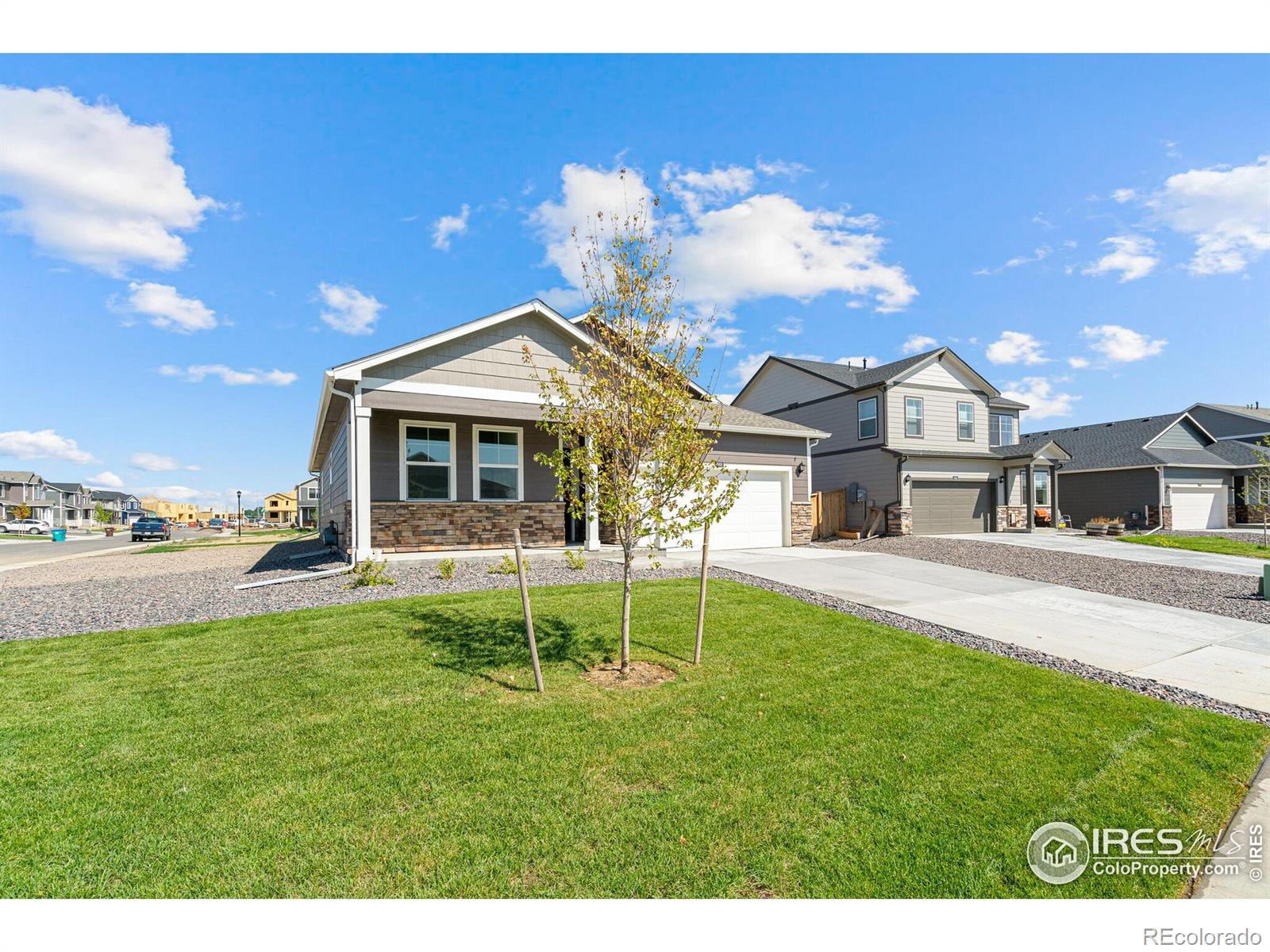 MLS Image #2 for 4692  hatcher drive,brighton, Colorado