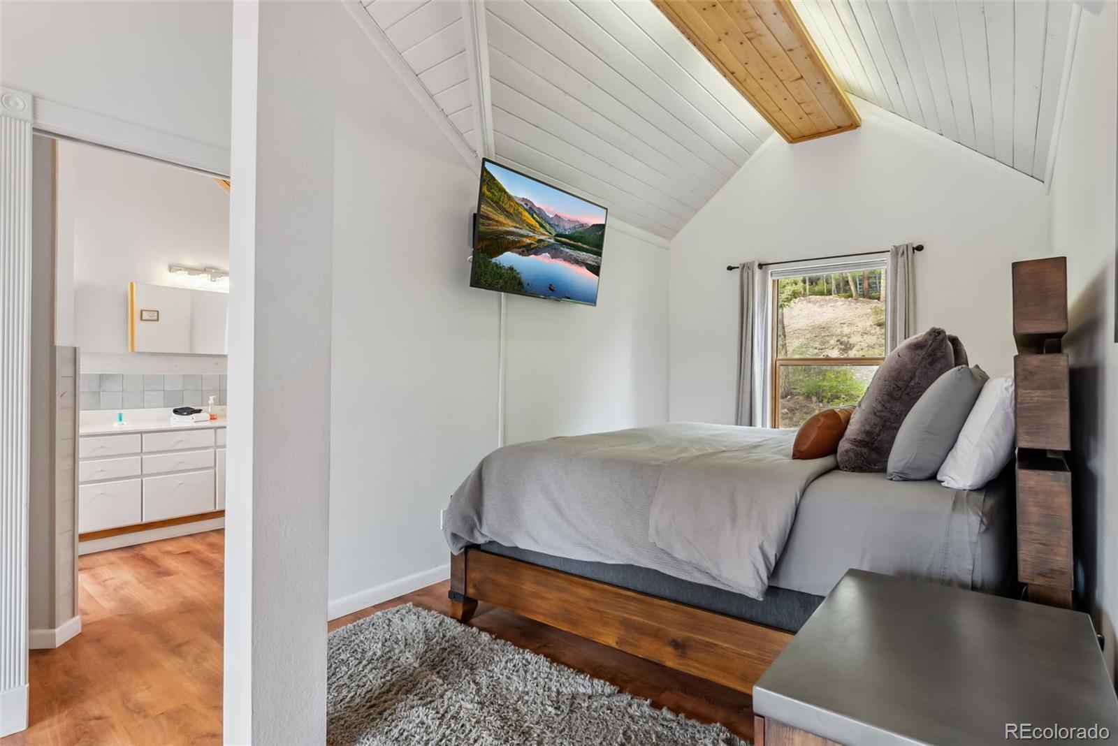 MLS Image #18 for 2028  redhill road,fairplay, Colorado